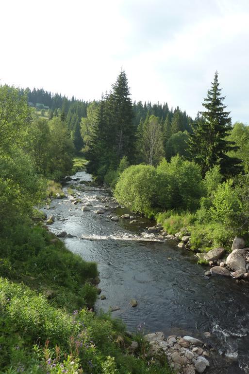 Penzion U Pstruha Модрава Екстер'єр фото